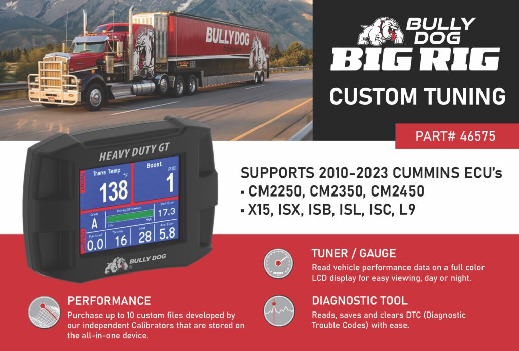 Custom 46575 Flyer Banner