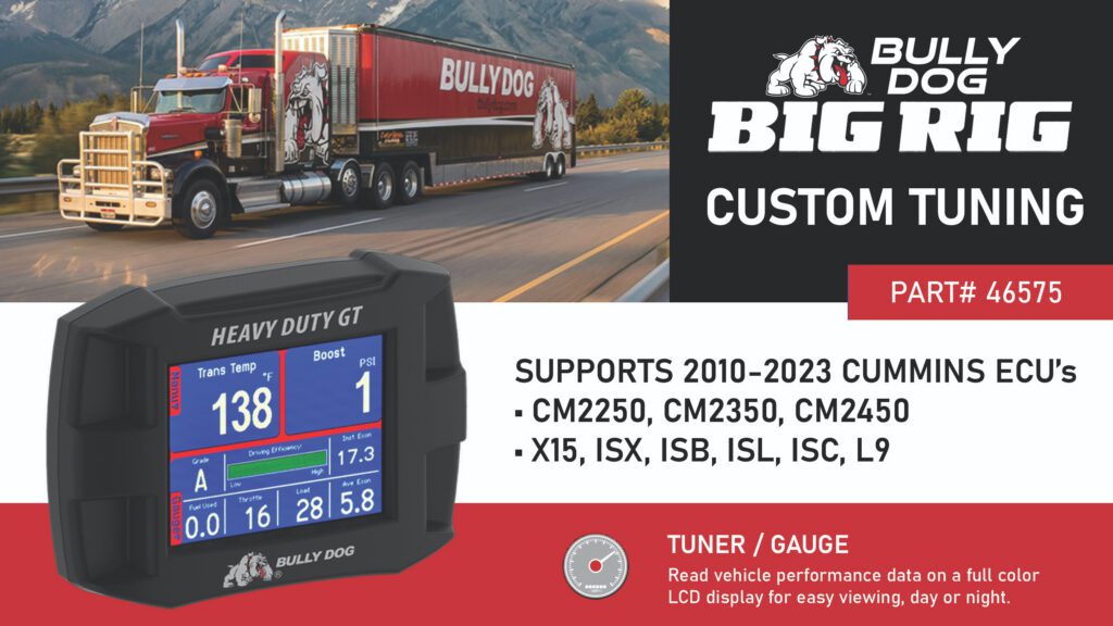 Custom 46575 Flyer Banner